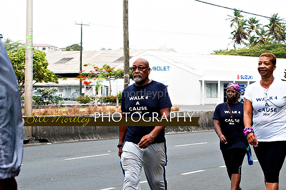 Bill Mortley_Walk 4 a Cause 2014 _June 1st, 2014,-0949