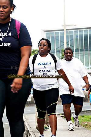 Bill Mortley_Walk 4 a Cause 2014 _June 1st, 2014,-1034