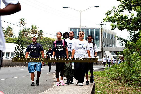 Bill Mortley_Walk 4 a Cause 2014 _June 1st, 2014,-0981