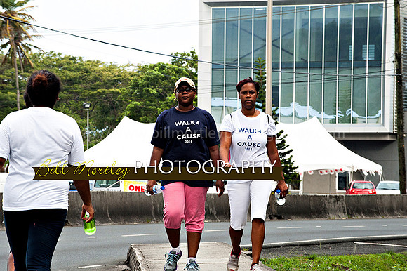 Bill Mortley_Walk 4 a Cause 2014 _June 1st, 2014,-1050