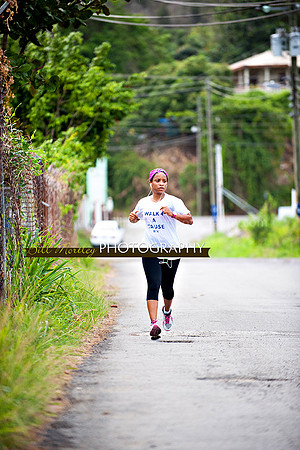 Bill Mortley_Walk 4 a Cause 2014 _June 1st, 2014,-1089