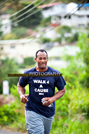 Bill Mortley_Walk 4 a Cause 2014 _June 1st, 2014,-1100