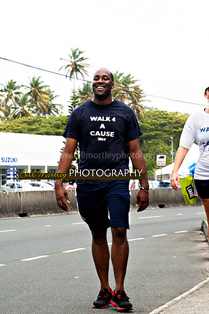 Bill Mortley_Walk 4 a Cause 2014 _June 1st, 2014,-1029