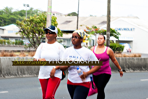 Bill Mortley_Walk 4 a Cause 2014 _June 1st, 2014,-0940