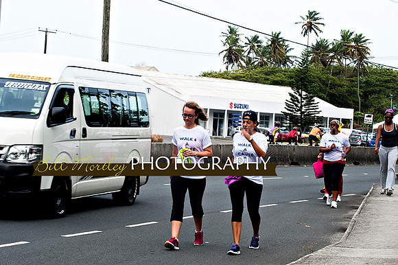 Bill Mortley_Walk 4 a Cause 2014 _June 1st, 2014,-0937