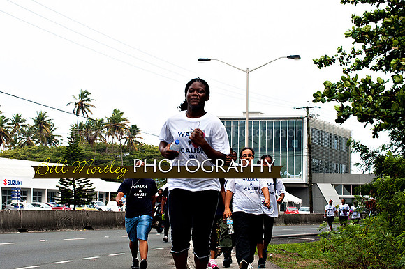 Bill Mortley_Walk 4 a Cause 2014 _June 1st, 2014,-0980