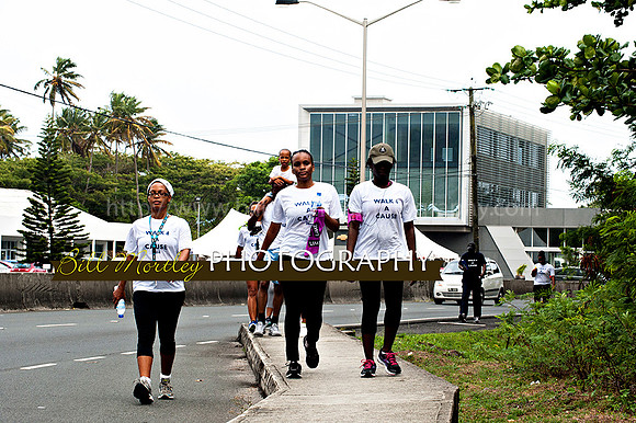 Bill Mortley_Walk 4 a Cause 2014 _June 1st, 2014,-0993