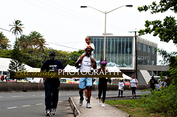 Bill Mortley_Walk 4 a Cause 2014 _June 1st, 2014,-0998