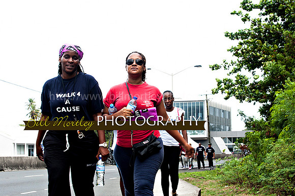 Bill Mortley_Walk 4 a Cause 2014 _June 1st, 2014,-0973