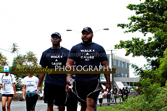 Bill Mortley_Walk 4 a Cause 2014 _June 1st, 2014,-0972