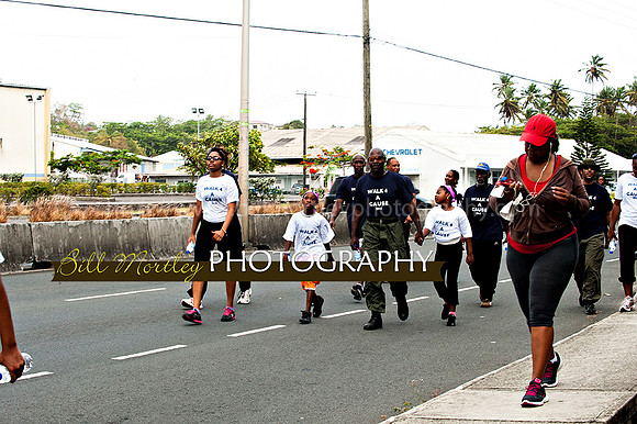 Bill Mortley_Walk 4 a Cause 2014 _June 1st, 2014,-0920