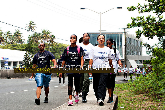 Bill Mortley_Walk 4 a Cause 2014 _June 1st, 2014,-0982