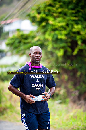 Bill Mortley_Walk 4 a Cause 2014 _June 1st, 2014,-1104