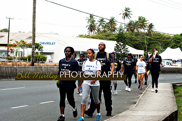 Bill Mortley_Walk 4 a Cause 2014 _June 1st, 2014,-0927