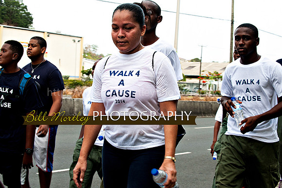 Bill Mortley_Walk 4 a Cause 2014 _June 1st, 2014,-0908