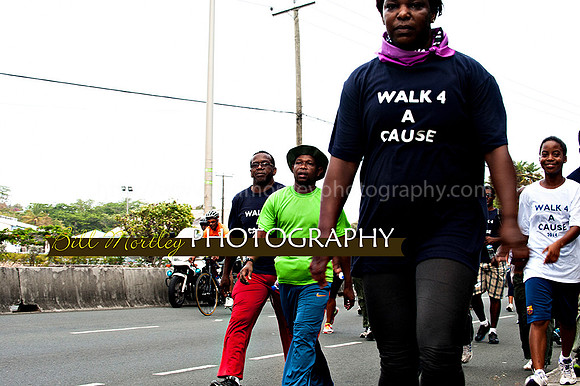 Bill Mortley_Walk 4 a Cause 2014 _June 1st, 2014,-0904