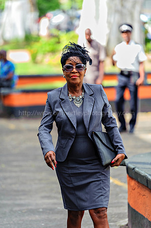 Bill Mortley_House of Assembly_April 28th_2015-9483