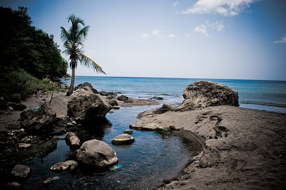 Bill Mortley-St. Lucia_04262010-8661