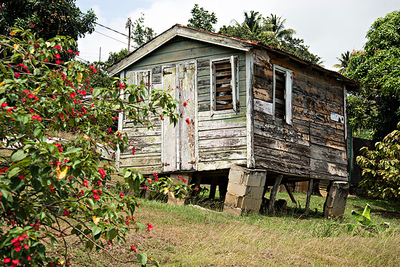www.billmortleyphotography.com - Castries Today Monday- 04.06.2020_BMP-0080