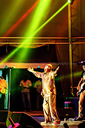 Bill Mortley_Main Stage Sunday 2015 _ May 9th_2015-0015