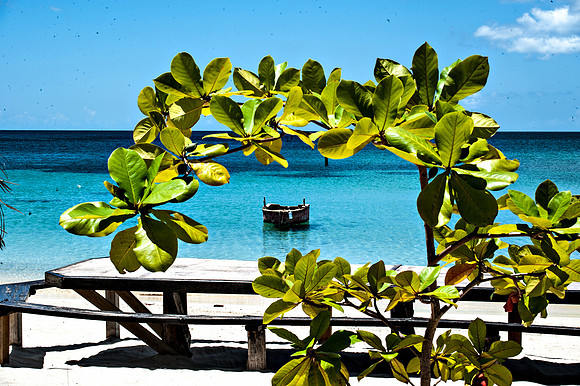 Bill Mortley_Grenada_September 23rd, 2013_BMP-8950