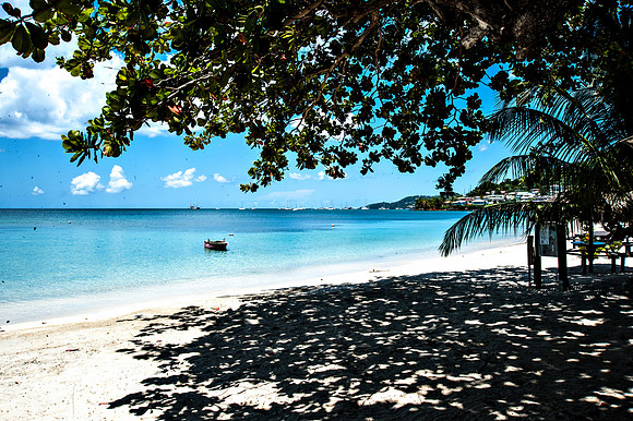 Bill Mortley_Grenada_September 23rd, 2013_BMP-8944