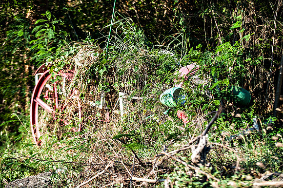 Bill Mortley_Grenada_September 23rd, 2013_BMP-8998
