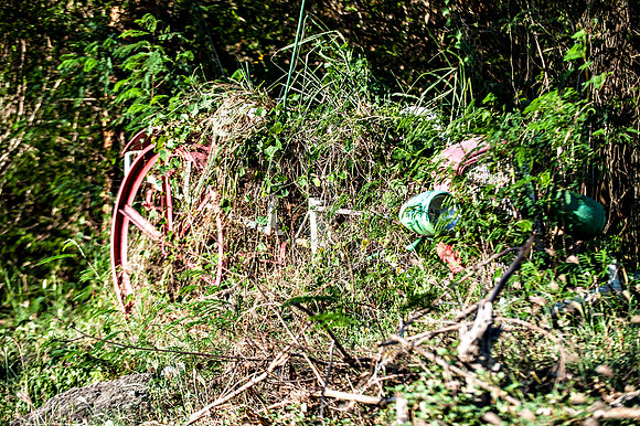 Bill Mortley_Grenada_September 23rd, 2013_BMP-9000
