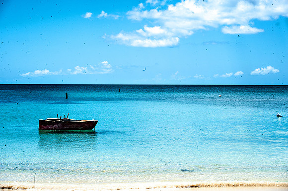 Bill Mortley_Grenada_September 23rd, 2013_BMP-8948