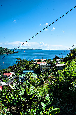 Bill Mortley_Grenada_September 23rd, 2013_BMP-8971