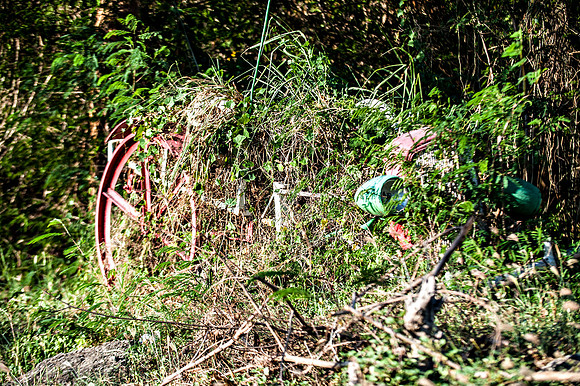Bill Mortley_Grenada_September 23rd, 2013_BMP-9001