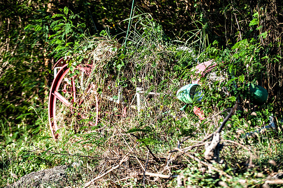 Bill Mortley_Grenada_September 23rd, 2013_BMP-8999
