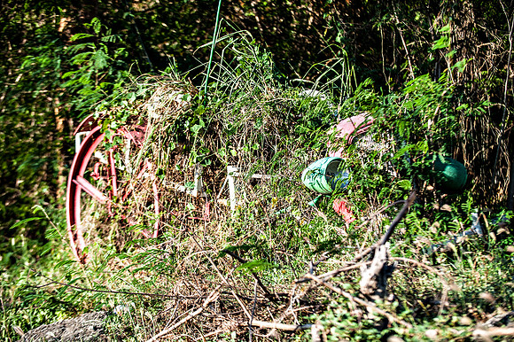 Bill Mortley_Grenada_September 23rd, 2013_BMP-8997