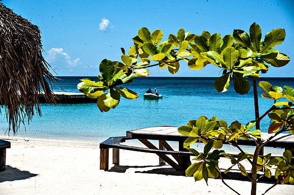 Bill Mortley_Grenada_September 23rd, 2013_BMP-8951