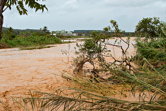Bill Mortley _10312010_St. Lucia_BMP-7793