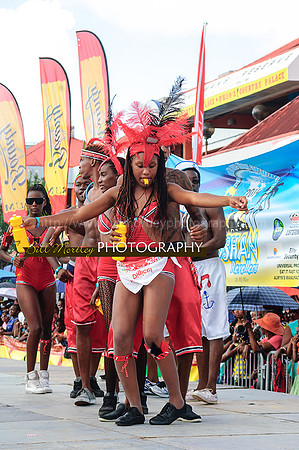 Bill Mortley_Parade of the Bands_July 21st, 2014,-0372