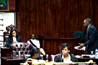 Bill Mortley_St Lucia_House of Assembly-5343