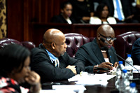 Bill Mortley_St Lucia_House of Assembly-5310