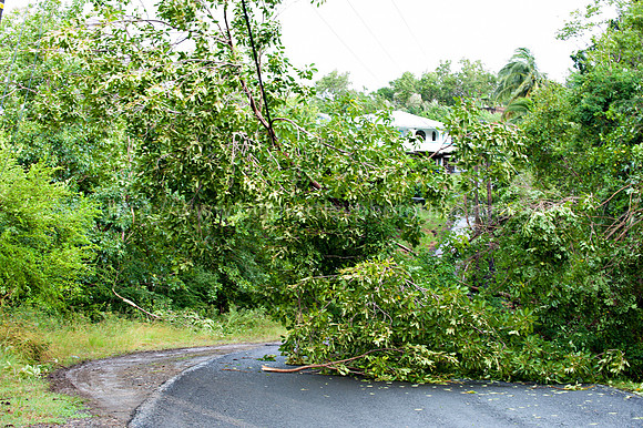Bill Mortley _10312010_St. Lucia_BMP-7662