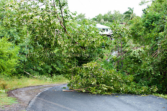 Bill Mortley _10312010_St. Lucia_BMP-7663