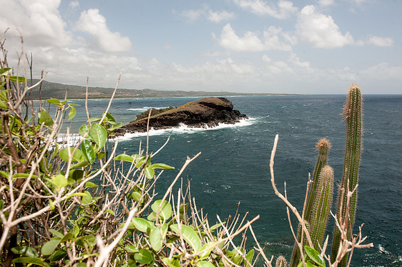 Bill Mortley_St Lucia_Visit To Maria Islands_BMP-4451