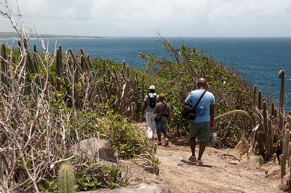 Bill Mortley_St Lucia_Visit To Maria Islands_BMP-4467