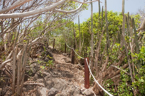 Bill Mortley_St Lucia_Visit To Maria Islands_BMP-4460