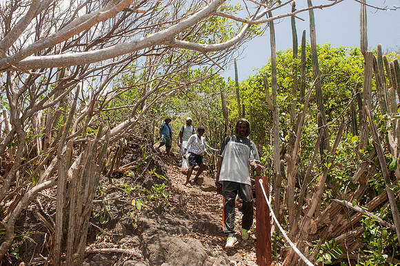 Bill Mortley_St Lucia_Visit To Maria Islands_BMP-4463