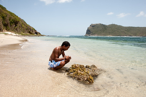 Bill Mortley_St Lucia_Visit To Maria Islands_BMP-4512