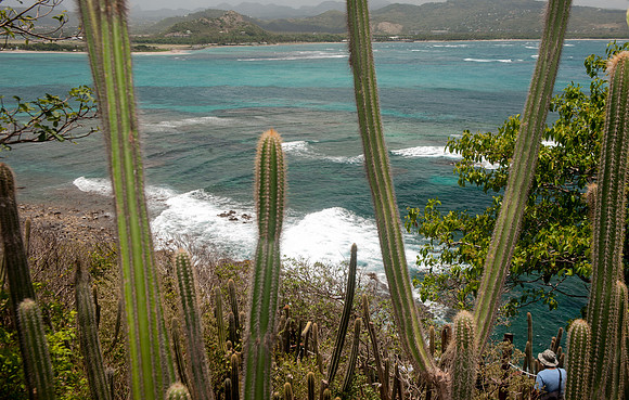 Bill Mortley_St Lucia_Visit To Maria Islands_BMP-4468