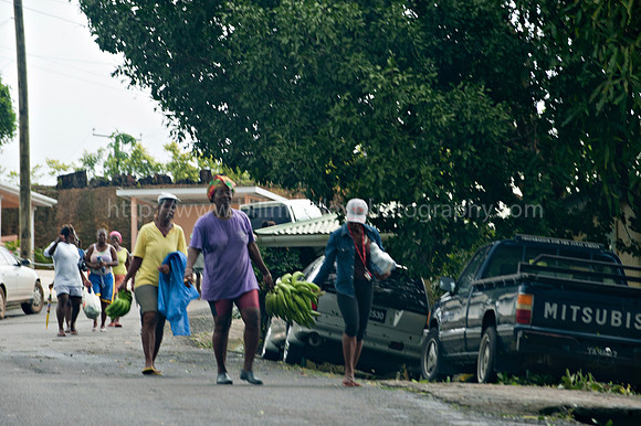 Bill Mortley _10312010_St. Lucia_BMP-7764