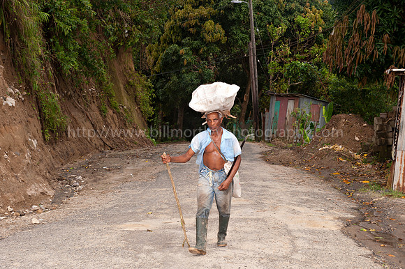 Bill Mortley _11202010_St. Lucia_BMP-9877