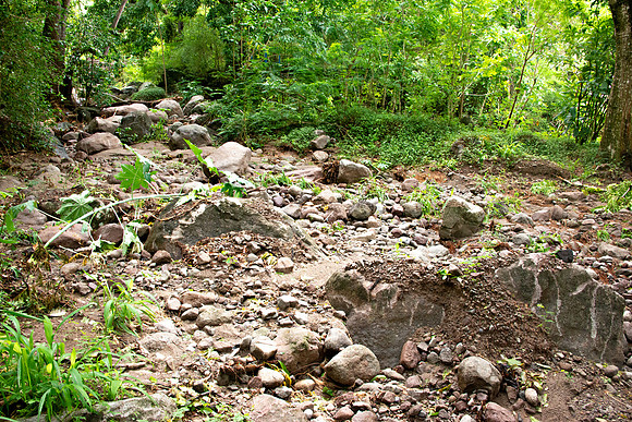 Bill Mortley Photography_The Globe_June 27th, 2023_The old river bed - BMP-1752