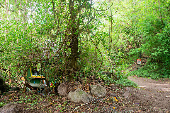Bill Mortley Photography_The Globe_June 27th, 2023_A hut used for selling tickets for the Gros Piton Trail BMP-1755